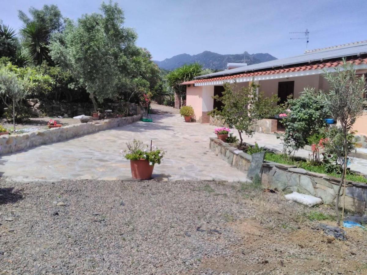 Agriturismo Camboni Annunziata (Sardinia) Exterior photo